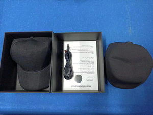 Recovery and Therapy