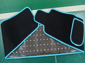 Recovery and Therapy